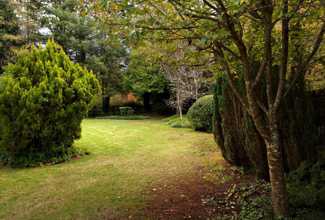 Birches Cottage & The Willows Garden Room Underberg Exterior photo